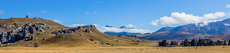 Castle Hill Conservation Area, South Island, New Zealand